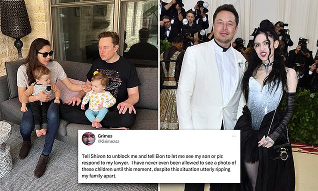 Elon Musk's ex Grimes 'begs billionaire to let her see their three year-old son X - and